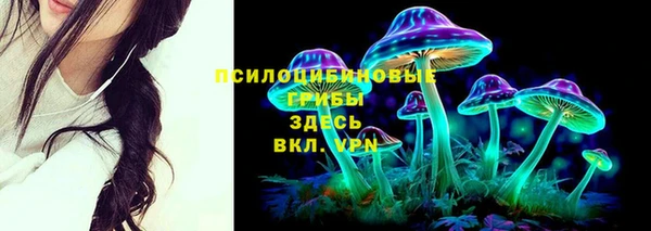 mdpv Балахна