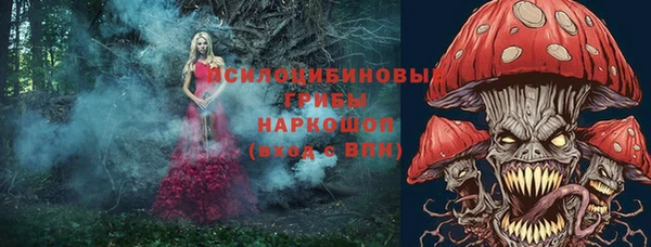mdpv Балахна
