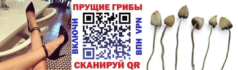 Псилоцибиновые грибы прущие грибы Курильск