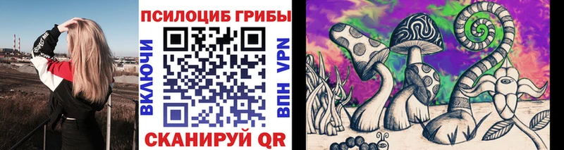 Псилоцибиновые грибы GOLDEN TEACHER  Курильск 